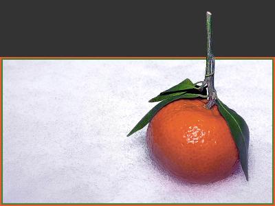 Orange On Snow