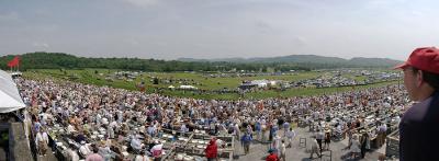 steeplechasepano.jpg