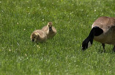 DSC_0867.jpg