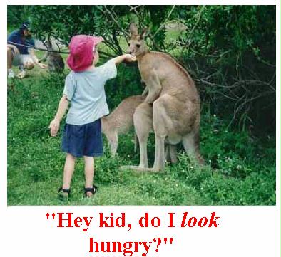 Hungry.jpg