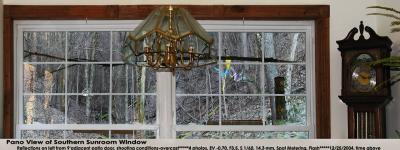 See the two hanging bird feeders, two suet feeders,and a branch tied between the two feeders?