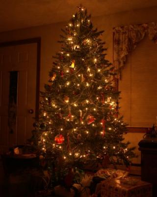 u10/donutrun/medium/37869138.4772004christmastree.jpg