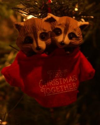 Coons from the early days