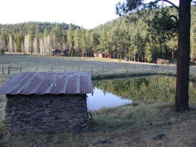 Pump house and pond