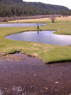 Dien strolls among the pools