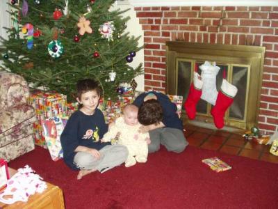 the tree