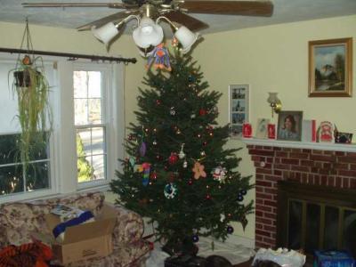 the tree