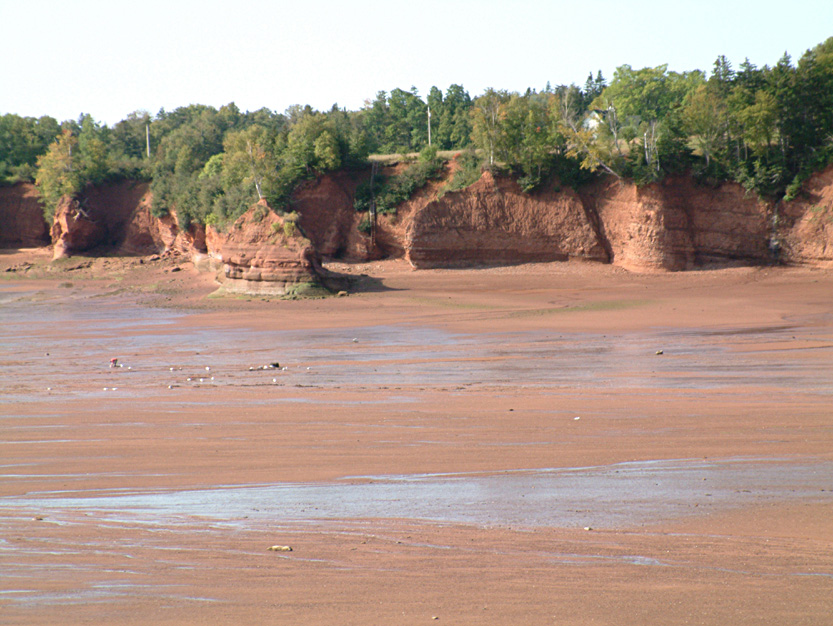 bay of fundy.jpg