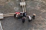 A meeting below my balcony!