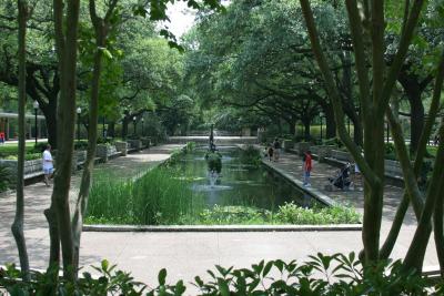 Houston Zoo Reflecting Pool