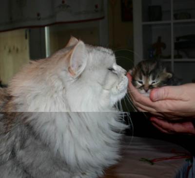 FKiss.jpg