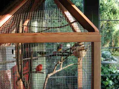 Living Room Aviary