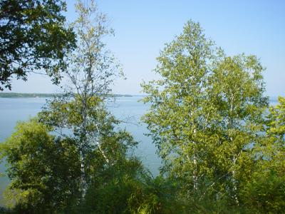 Leech Lake, N. Minnesota