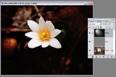 apply filters to new layers