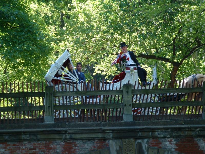 Central Park, Riders Amused