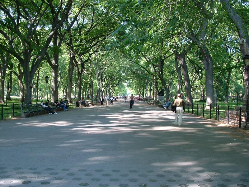 Central Park