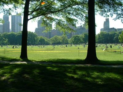 Sheep Meadow, Central Park