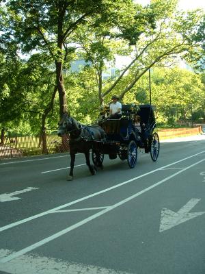 Carriage, Central Park