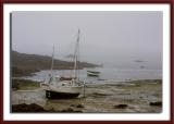 Fog and low tide...
