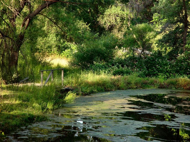 Orroville Pond