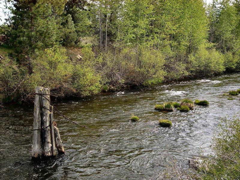 Chester Creek