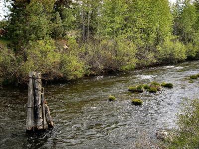 Chester Creek
