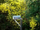 Rural Route Orroville