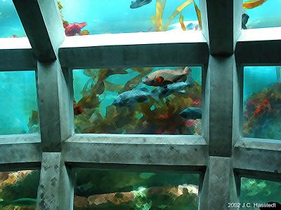 Aquarium with Crosshatch Filter