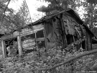 Overgrown Cabin in B&W