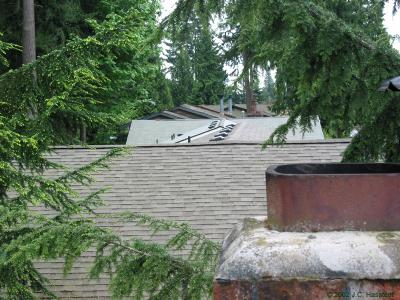 Roof's view