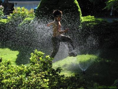 Sprinkler Run