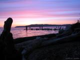 Picnic Pt Sunset 3