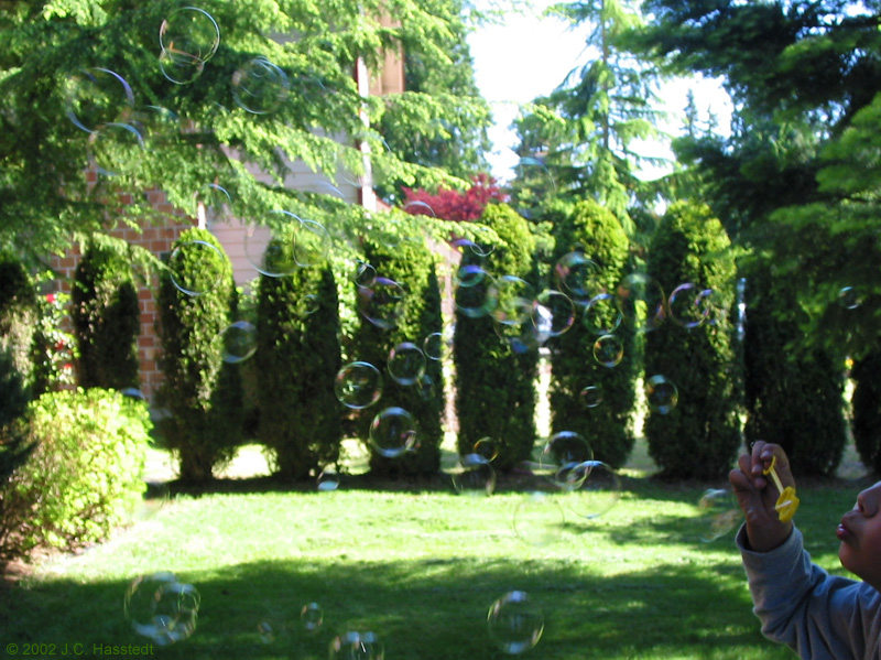 Bubbles