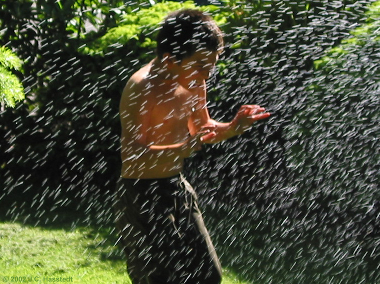 Sprinkler Pause