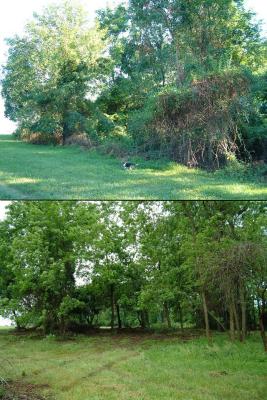 Aug '01 -- May '02