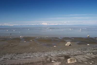 CRW_1516.jpg