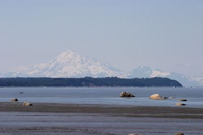 CRW_1519.jpg