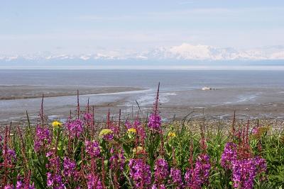 CRW_1528.jpg