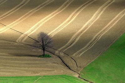 Rural scenes of Pesaro's hills