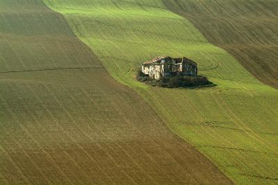 u10/giorgiopieroni/medium/41442461.0310campi23a.jpg