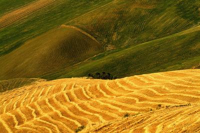 u10/giorgiopieroni/medium/41442902.0722stoppie21.jpg