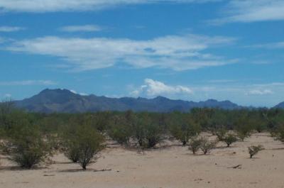 Desert Dry Day