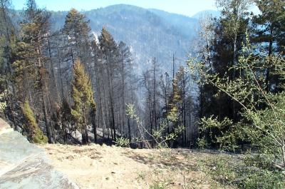 Smoke On The Ridge