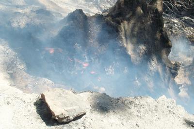 Smolding Stump