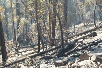 Mt Lemmon Burnout