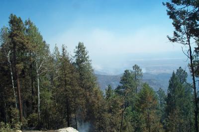 Elevations Mt Lemmon (9150 ft) Tucson (2400 ft)