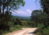 Tuscany Landscape, Pentax 645