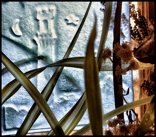 PTglass