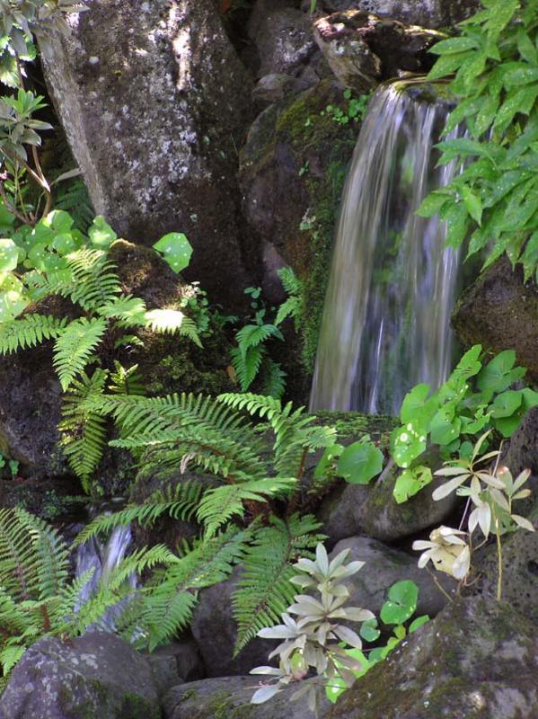 Waterfall 1.jpg
