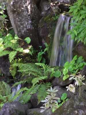 Waterfall 1.jpg